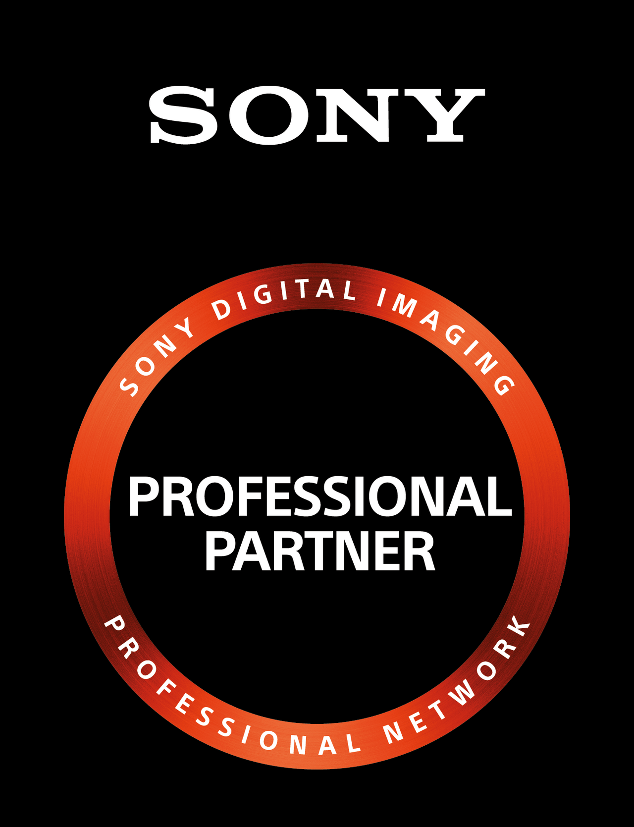 Sony A1 Body - 4 Jahre CH Garantie